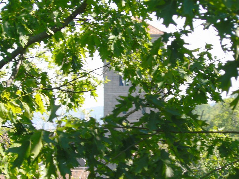 The Cloisters: The Cloisters 5